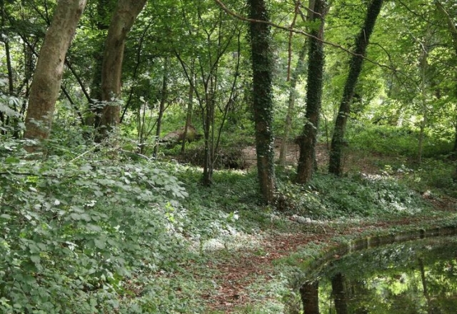  Terreno de airsoft en Seine et Marne 
